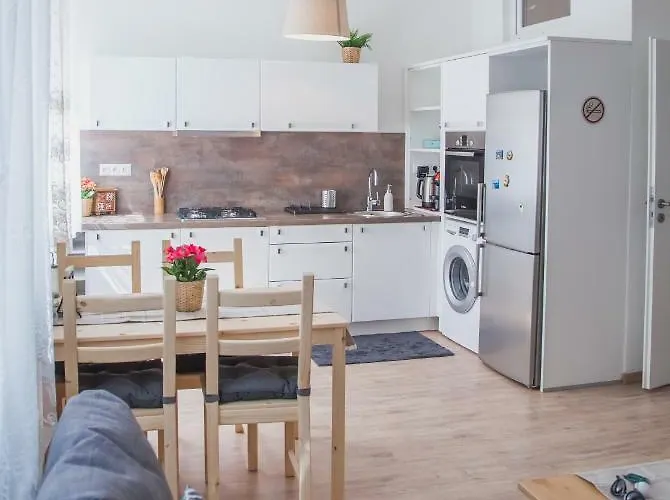 Downtown Pedestrian Zone Apartment